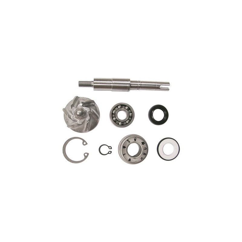 Vicma 8663 kit de reparare a pompei de apă Vicma 8663 lichidare