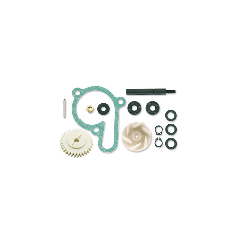 Kit de reparare a pompei de apă Vicma 11420 lichidare