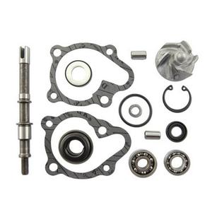Kit de reparare a pompei de apă Vicma 11625