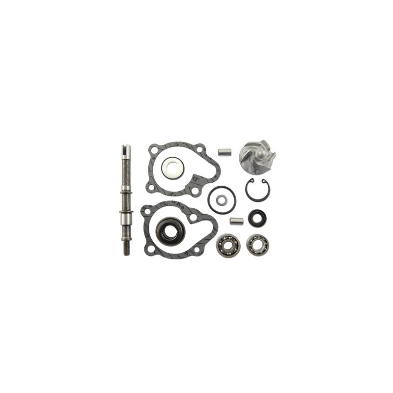 Kit de reparare a pompei de apă Vicma 11625