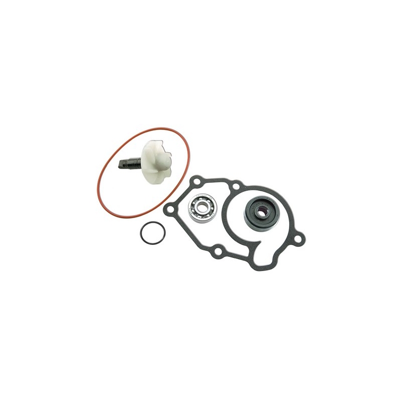 Kit de reparare a pompei de apă Vicma 13978