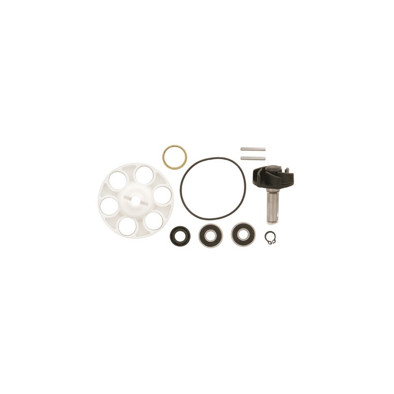 Kit de reparare a pompei de apă Vicma 6215