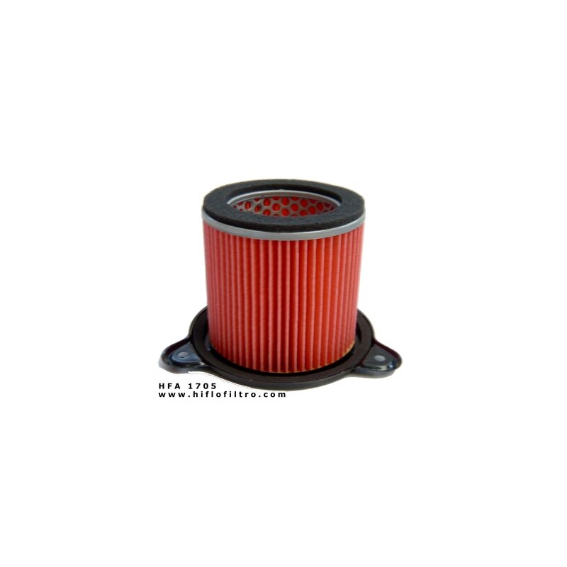Filtru de aer Hiflofiltro HFA1705