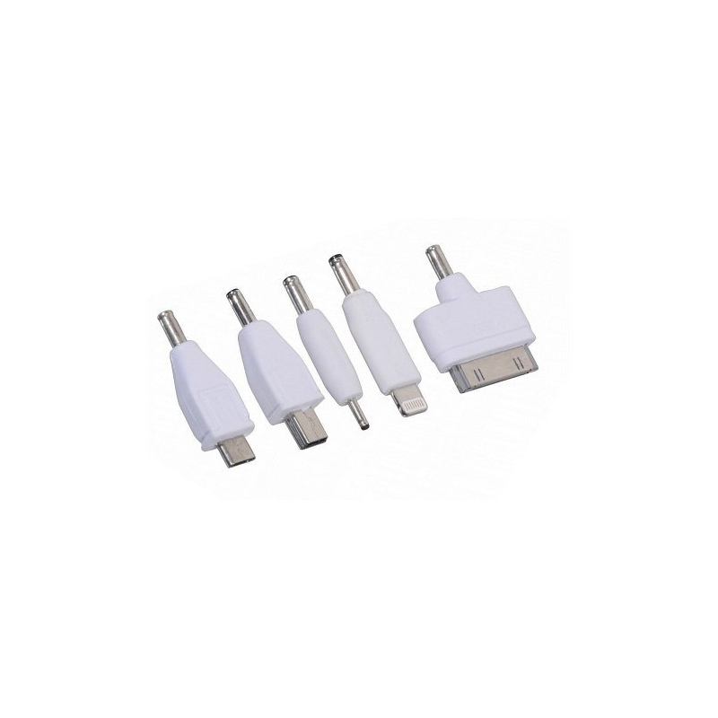 Încărcător de telefon 12V 2,1A (iPhone 4/5/6, micro USB, Nokia)