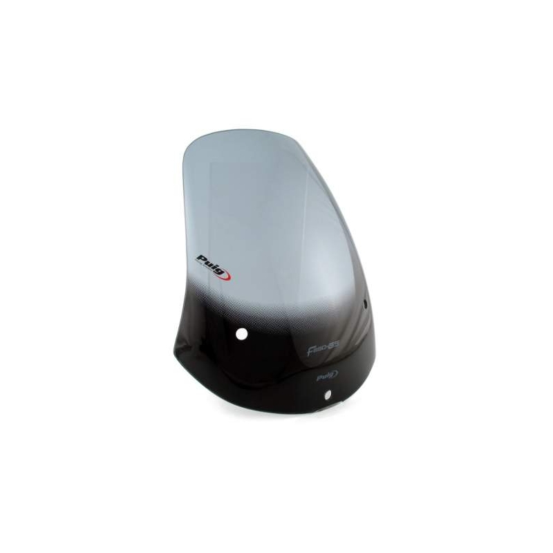 Plexiglas pentru Puig-BMW F650 GS (00-03) TOURING