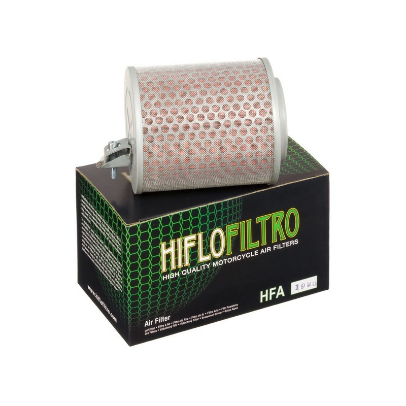 Filtru de aer HIFLOFILTRO
