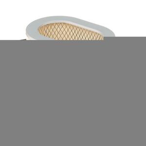 Filtru de aer Hiflofiltro HFA1702