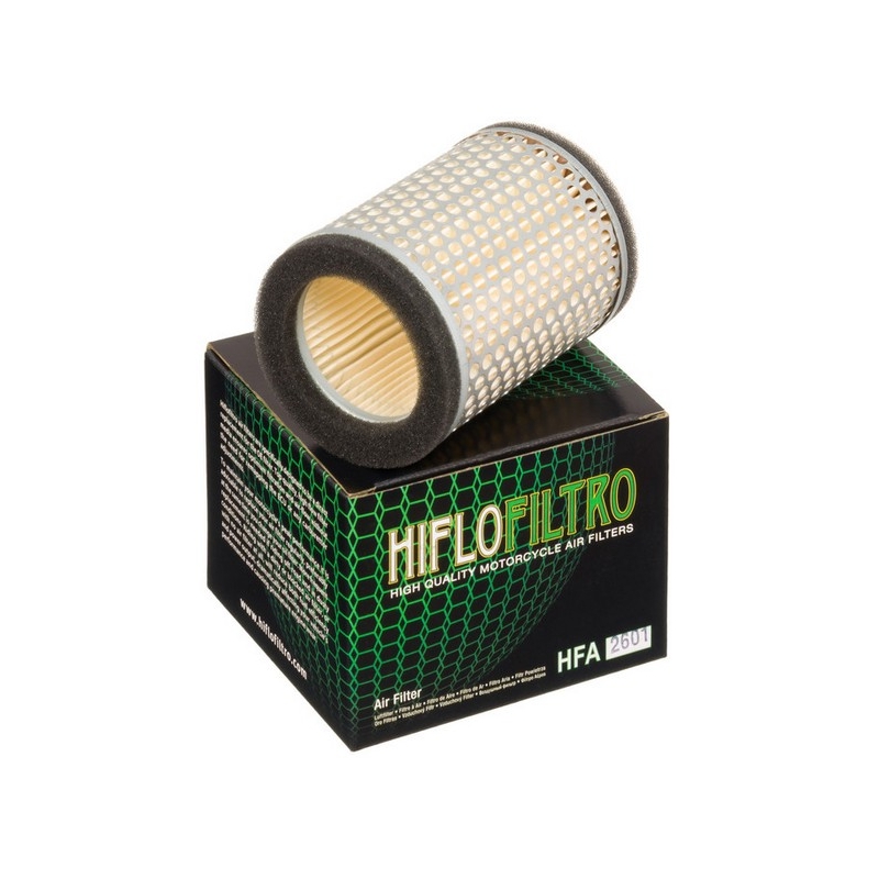 Filtru de aer HIFLOFILTRO
