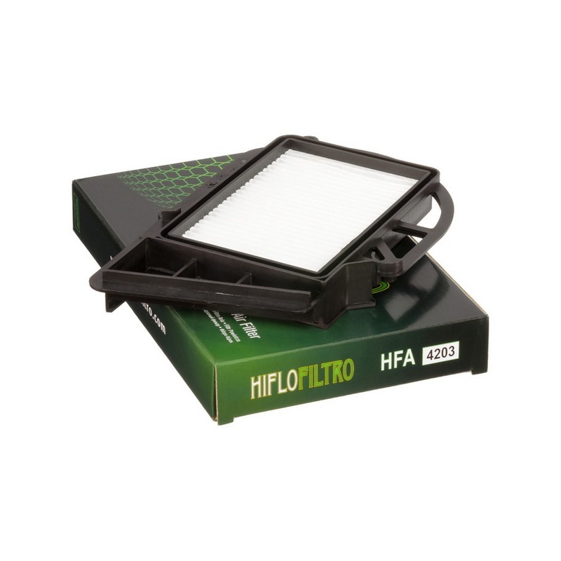 Filtru de aer HIFLOFILTRO