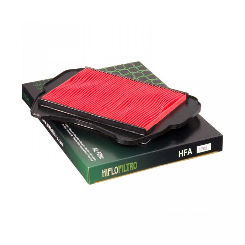 Filtru de aer HIFLOFILTRO