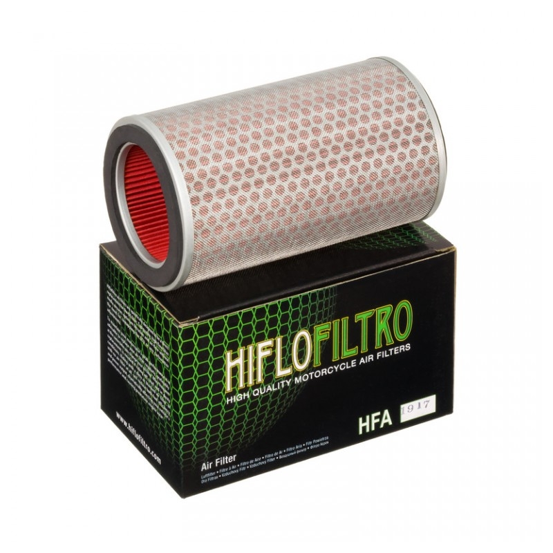Filtru de aer HIFLOFILTRO