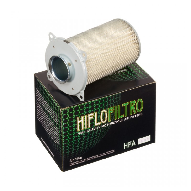 Filtru de aer HIFLOFILTRO