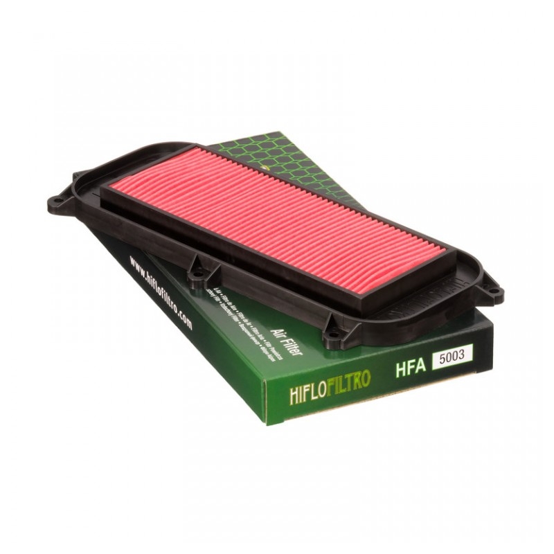Filtru de aer HIFLOFILTRO