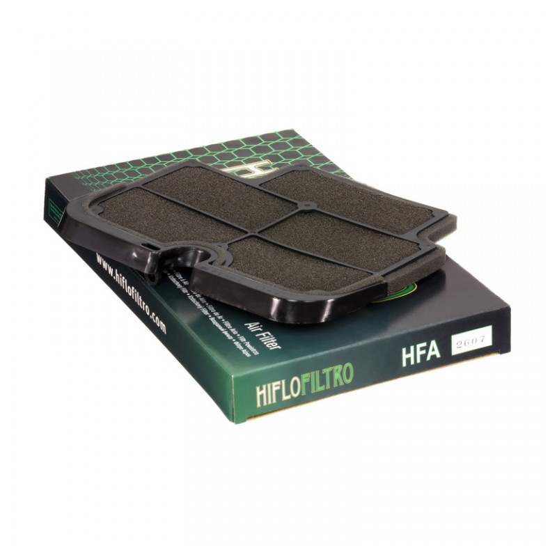 Filtru de aer HIFLOFILTRO
