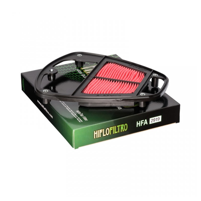 Filtru de aer HIFLOFILTRO