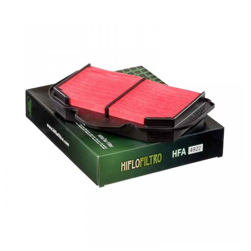 Filtru de aer HIFLOFILTRO