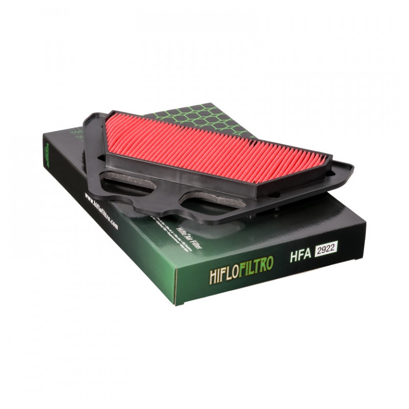 Filtru de aer HIFLOFILTRO