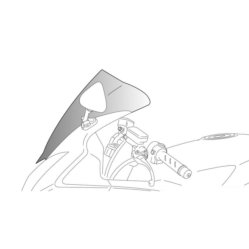 Windscreen PUIG RACING smoke lichidare