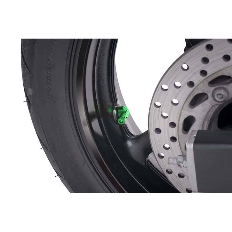 Valves for tubeless wheels PUIG verde D 11mm