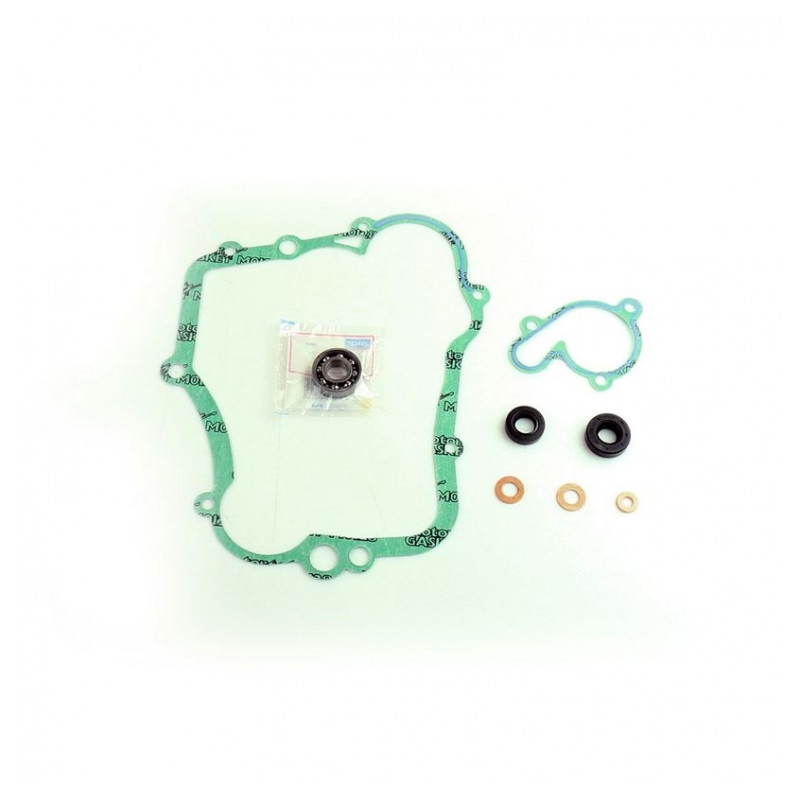 Water pump gasket kit ATHENA with bearings