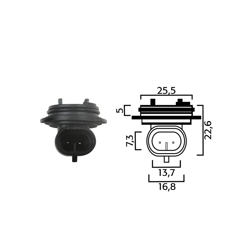 Holder for bulbs RMS H1