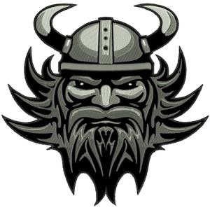 Plasture viking