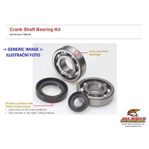 Kit garnituri si simeringuri arbore cotit All Balls Racing CB24-1001