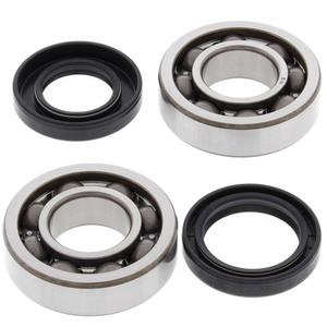 Kit garnituri si simeringuri arbore cotit All Balls Racing CB24-1064