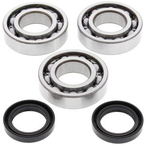 Kit garnituri si simeringuri arbore cotit All Balls Racing CB24-1077