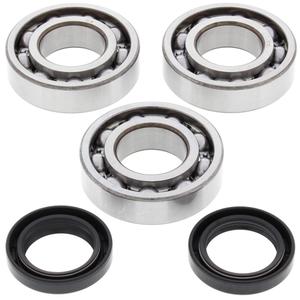Kit garnituri si simeringuri arbore cotit All Balls Racing CB24-1078