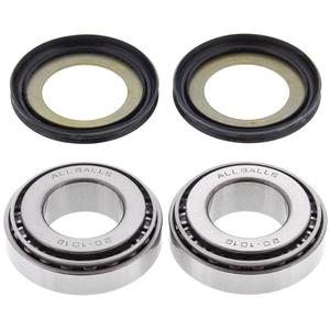 Kit rulmenti de jug All Balls Racing SB22-1032
