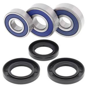 Kit rulmenti si garnituri roata All Balls Racing WB25-1605