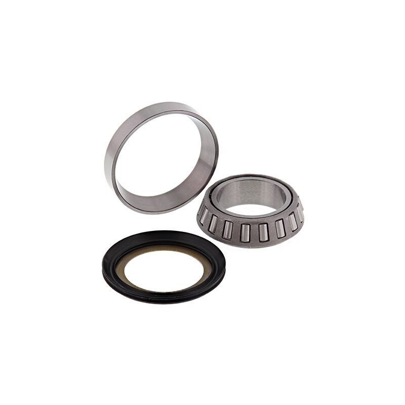 Kit rulmenti de jug All Balls Racing