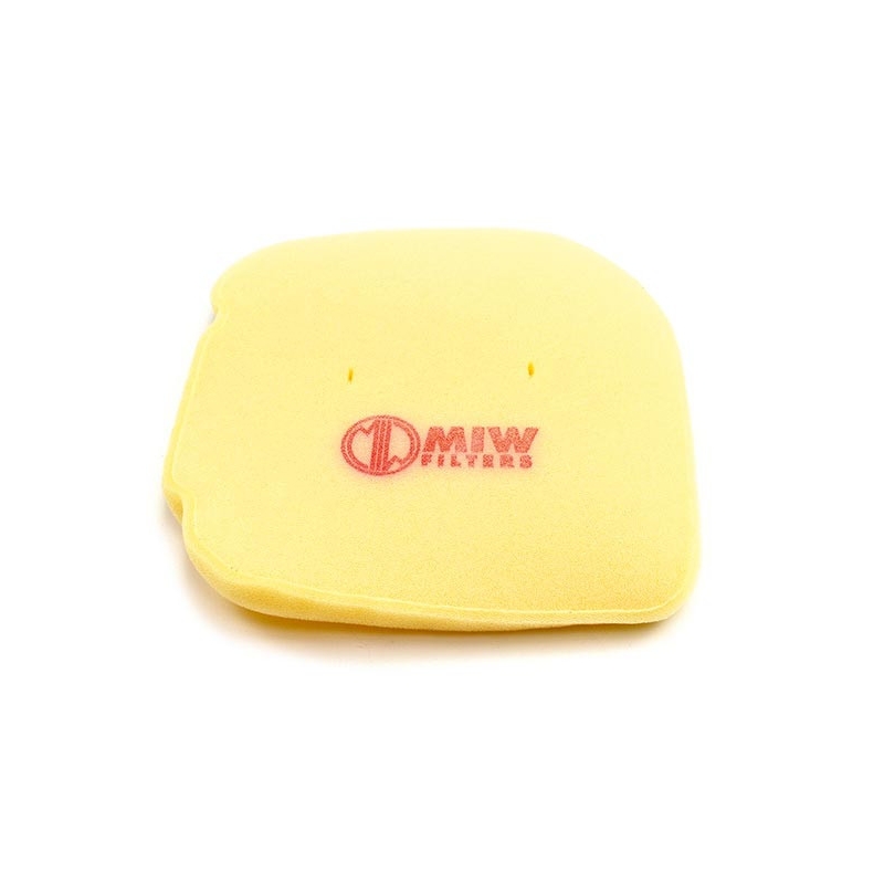 Air Filter MIW lichidare