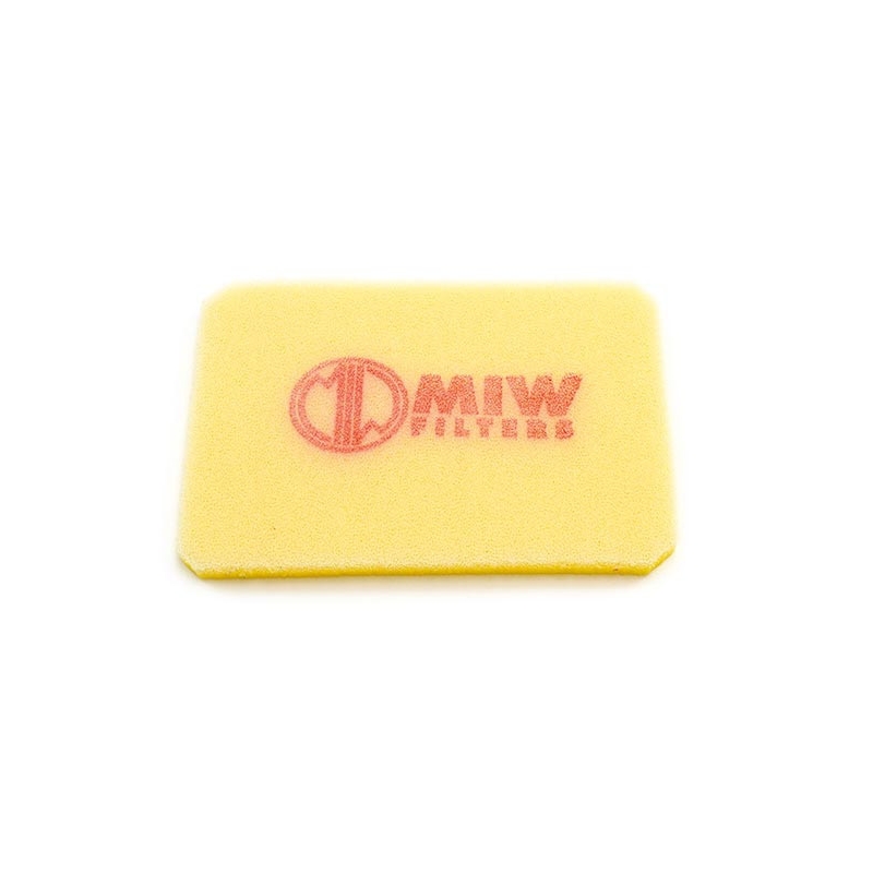 Air Filter MIW lichidare