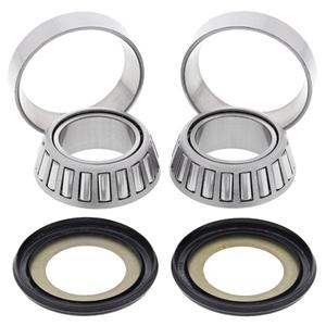 Kit rulmenti de jug All Balls Racing
