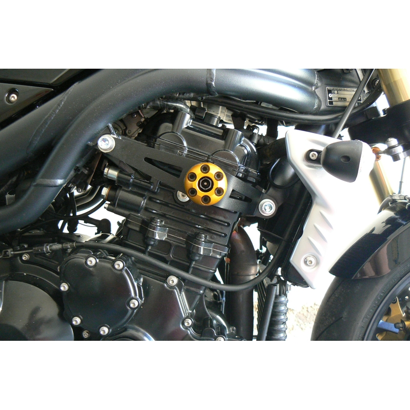 Triumph SPEED TRIPLE 1050 (05-10) Clasic