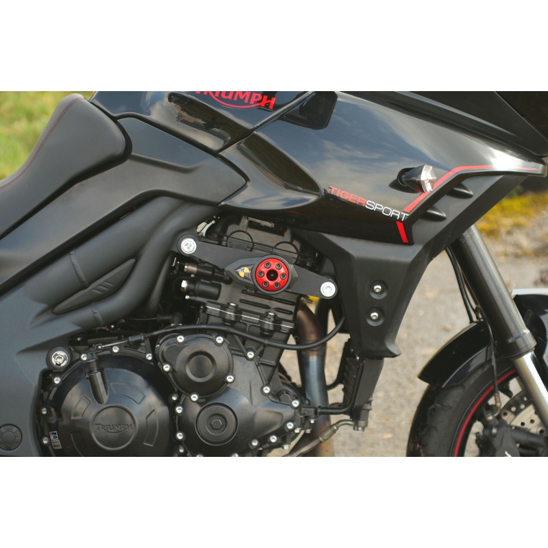 Triumph TIGER SPORT 1050 (13-) Arrow