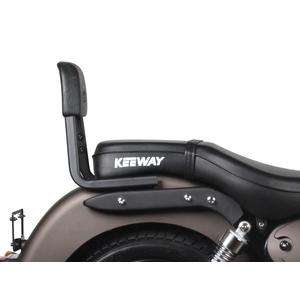 Spatar SHAD K0SP12SN Sissy Bar