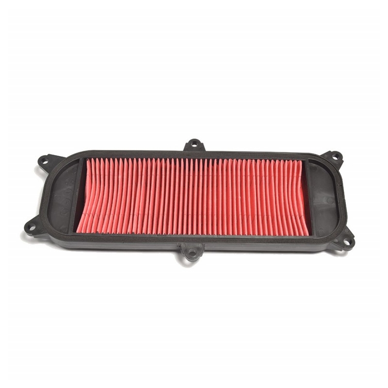 Filtru de aer ATHENA pentru KYMCO People 250 / S 2006-2007