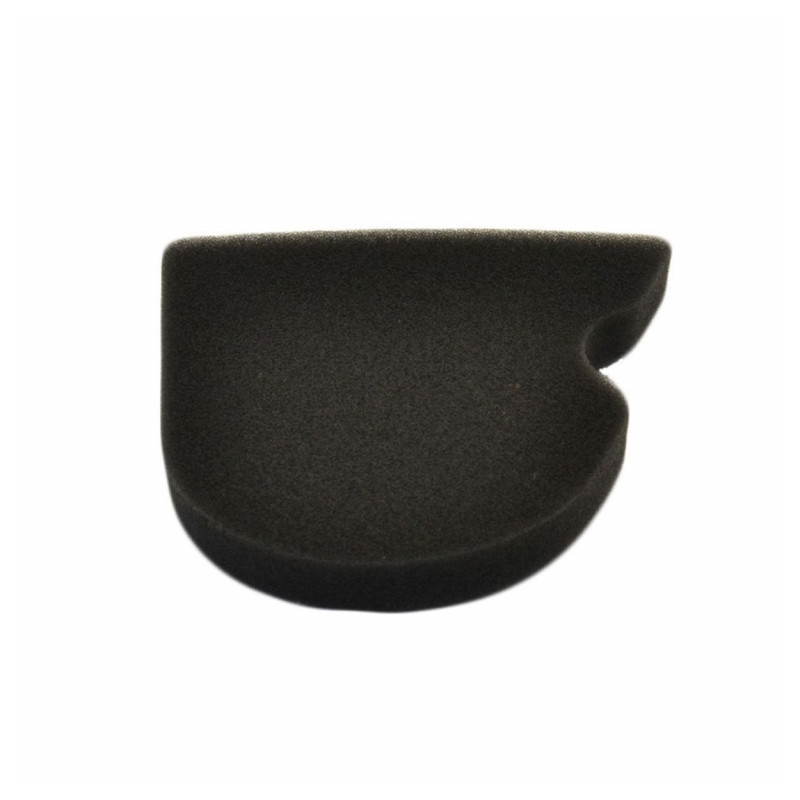 Filtru de aer ATHENA pentru KAWASAKI KLX 110 (R) 2002-2025