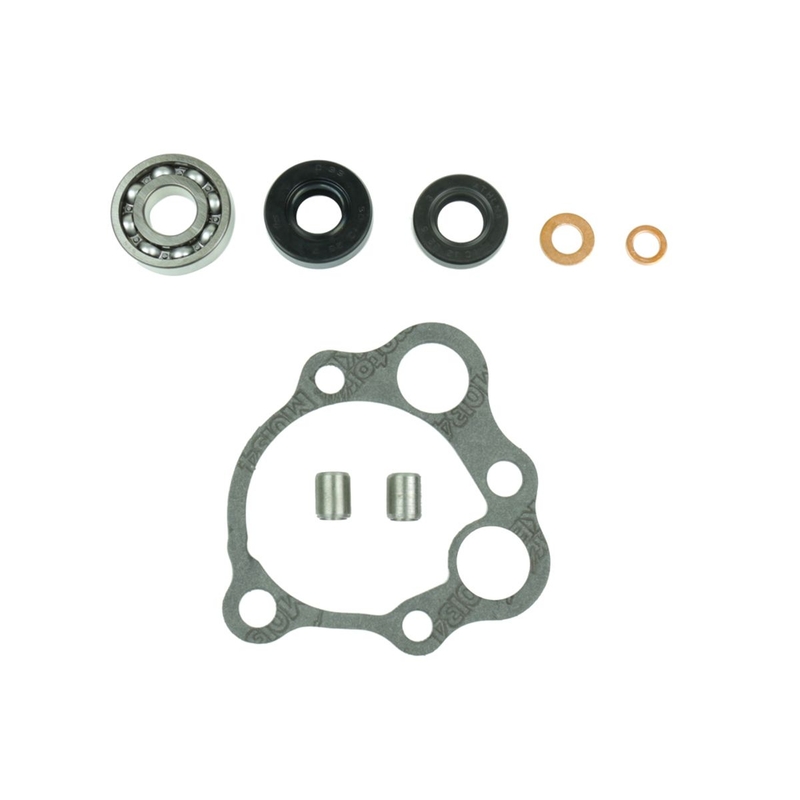 Water pump gasket kit ATHENA with bearings