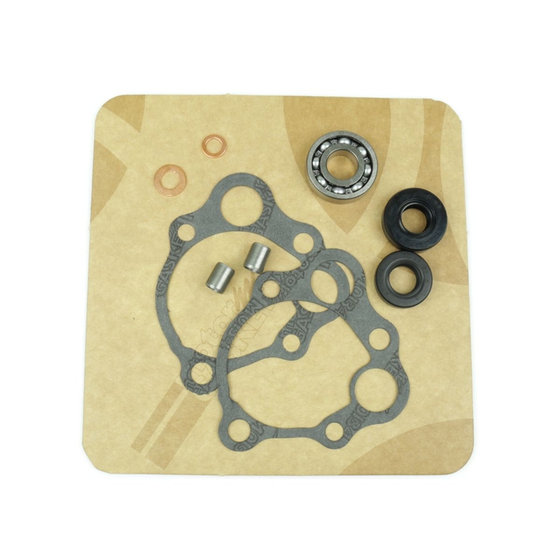 Water pump gasket kit ATHENA with bearings