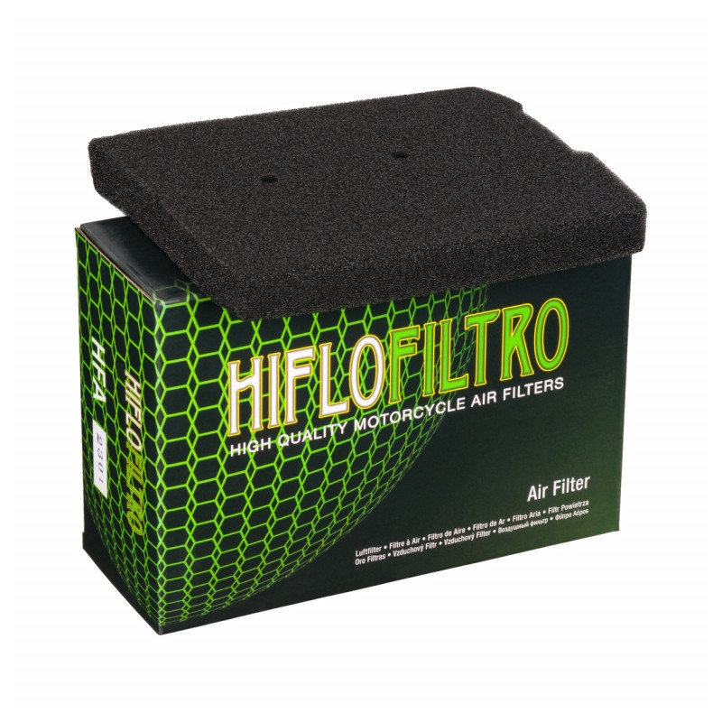 Filtru de aer HIFLOFILTRO