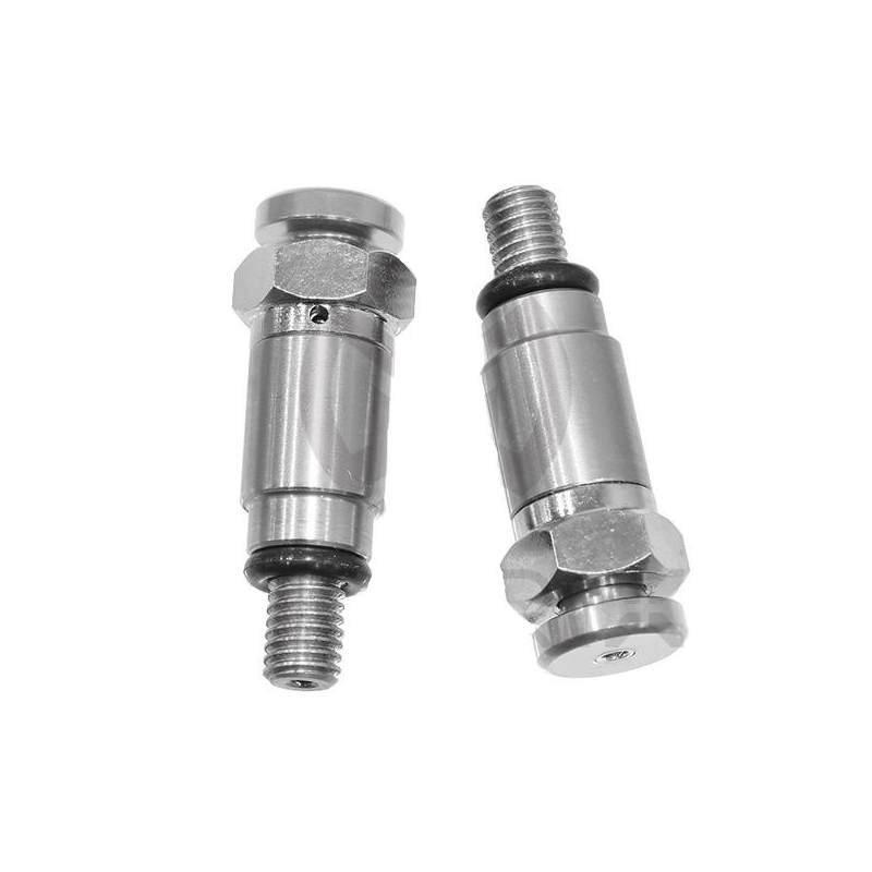 Bleeder set for forks MOTION STUFF (M5x0,8) argintiu