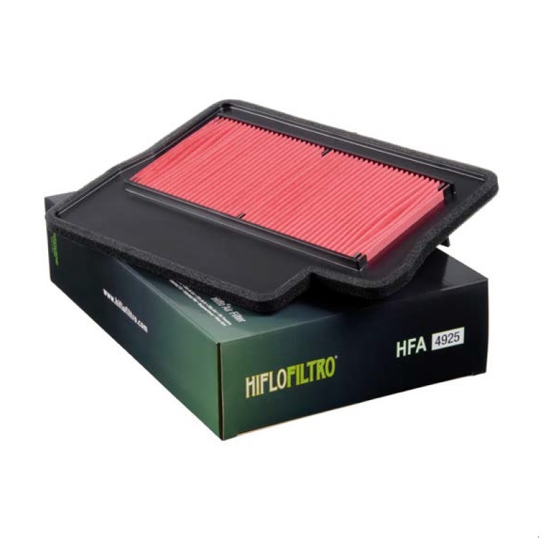 Filtru de aer HIFLOFILTRO