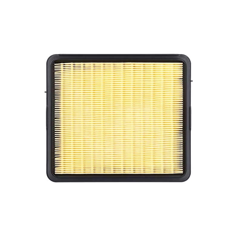 Filtru de aer MIW
