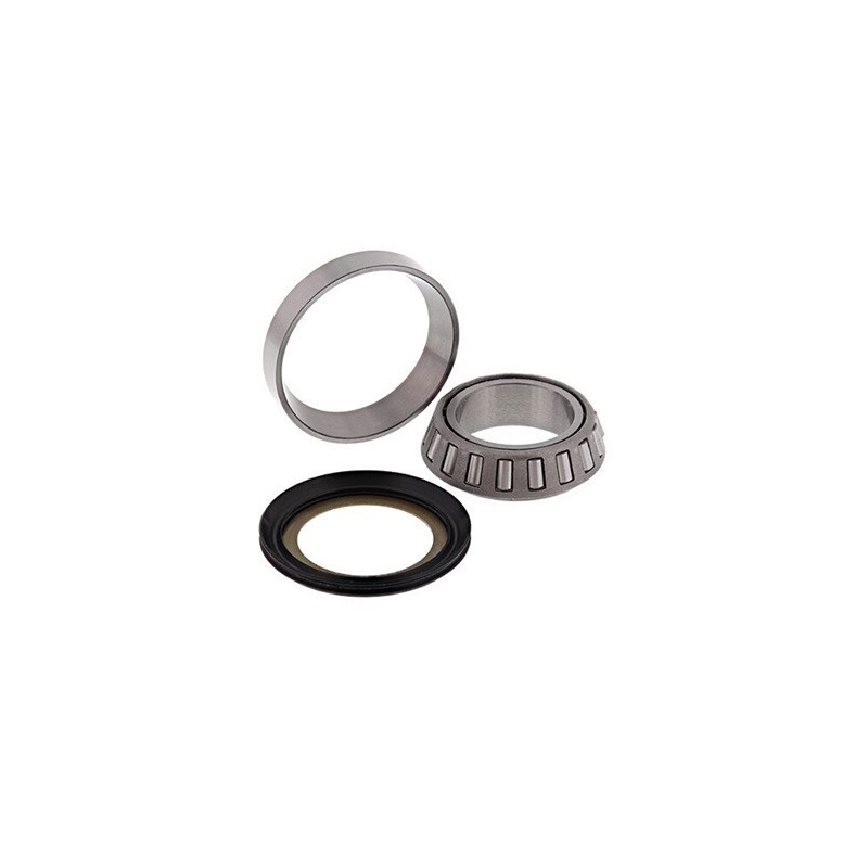 Kit rulmenti de jug All Balls Racing