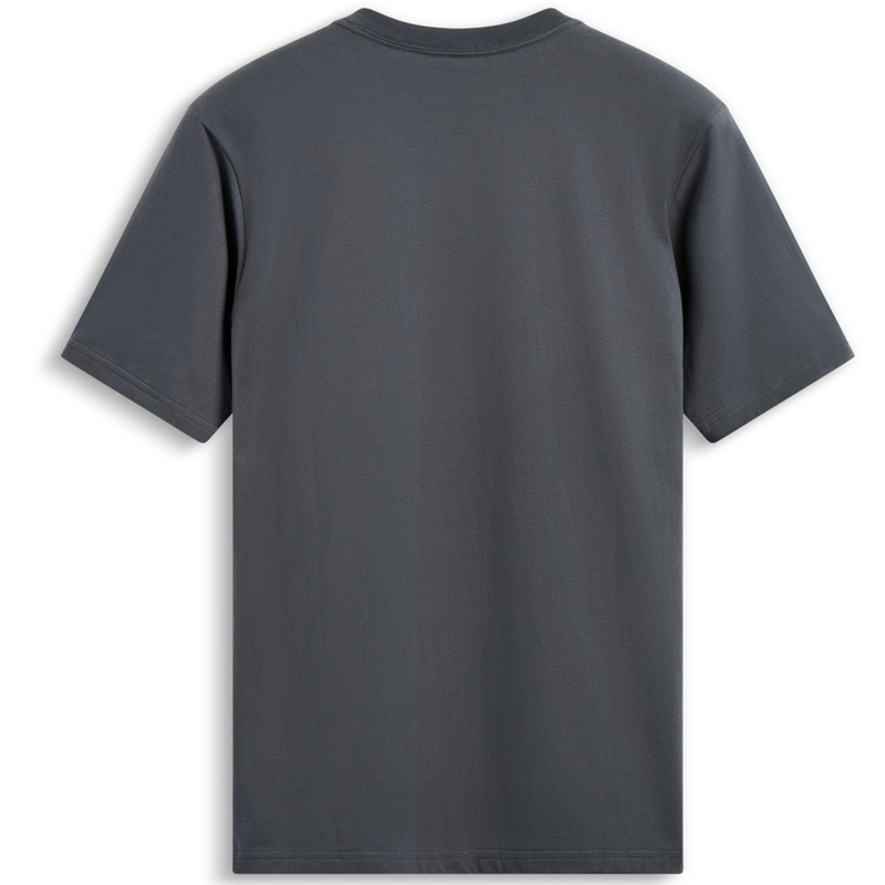 Tricou Alpinestars Waving Patch CSF gri