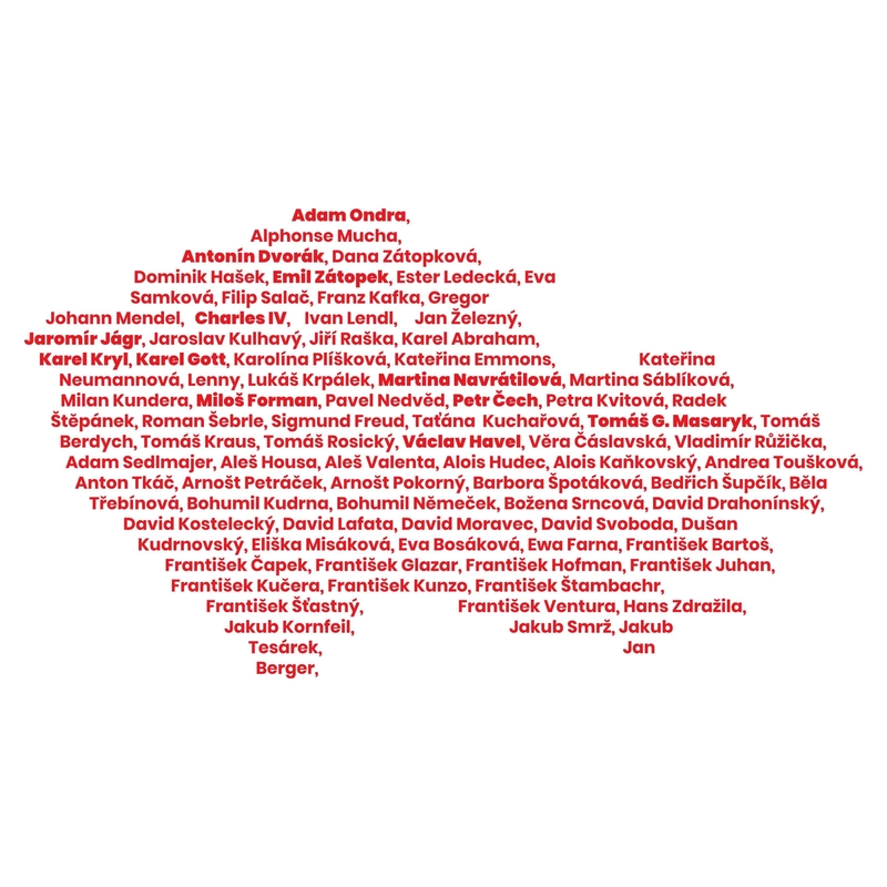 Tricou funcțional nanosilver® HOME alb